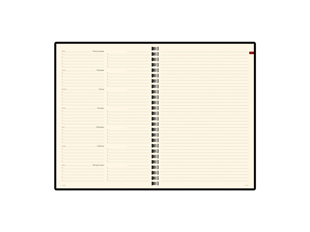 Еженедельник недатированный А5 Concept