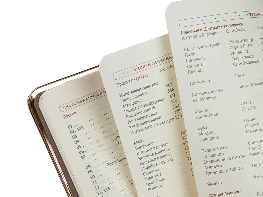 Ежедневник недатированный A5 Chelsea