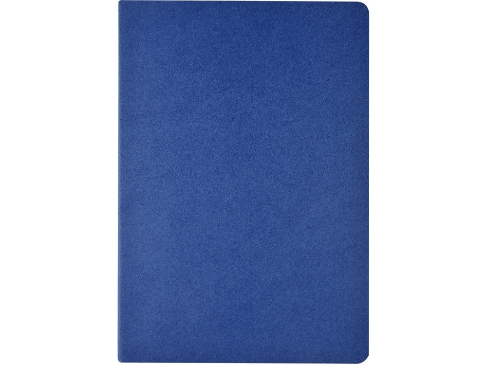 Бизнес тетрадь А5 Pragmatic