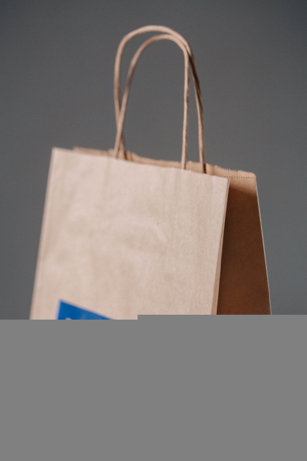 Крафт пакет, крученые ручки, 22*12*25 см (ш*г*в), цвет бурый 70 гр.