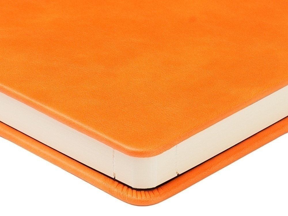 Ежедневник недатированный А5 Premier